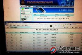 浠水新闻爆料电话查询,揭秘民生热点，倾听市民心声