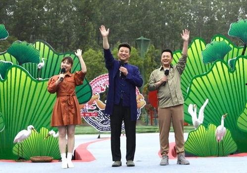 最新油价爆料新闻视频下载,视频揭秘市场动态与未来走势